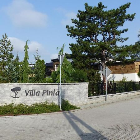 Villa Pinia Гочауковіце-Здруй Екстер'єр фото